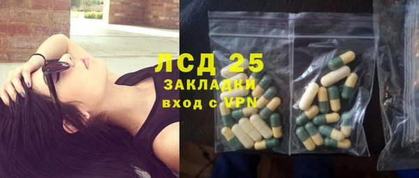 гашик Белокуриха