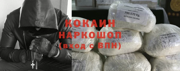 гашик Белокуриха