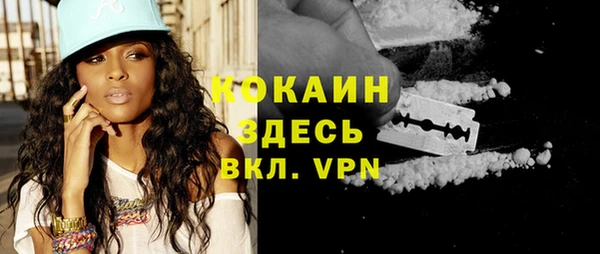 гашик Белокуриха
