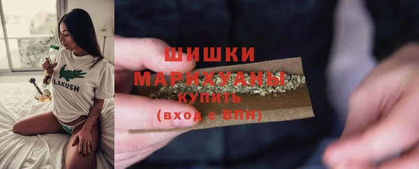 гашик Белокуриха
