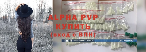 гашик Белокуриха